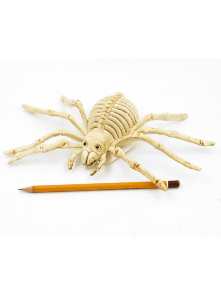 Скелет паука 25 х 12 см пластик Хэллоуин HS-4-28