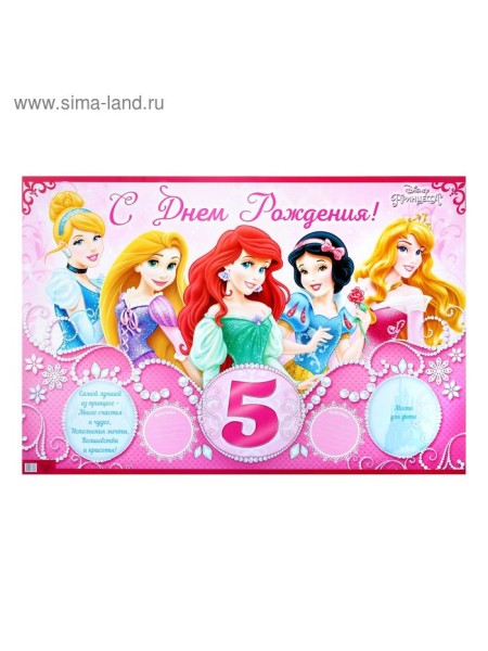 Плакат С Днем рождения 5 лет Принцессы 60 х 40 см