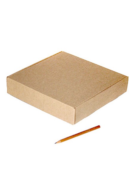 Коробка микрогофра 010/001-93 квадрат 22,5 х 23,5 х 4,5 см