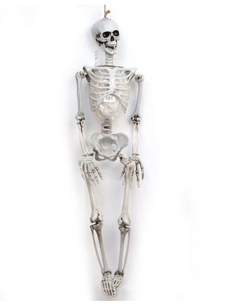 Скелет 90 см пластик Хэллоуин HS-4-2