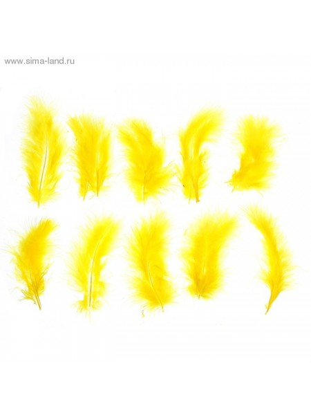Набор перьев для декора 10 шт размер 1 шт 10 х 2 см  цвет Желтый