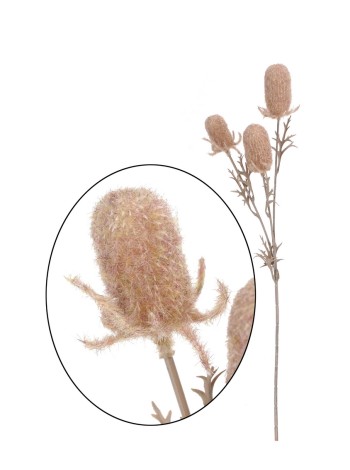 Рогоз ветка 69 см цвет светло-коричневый HS-11-9