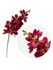 Орхидея Ренантоптис 60 см цвет красный