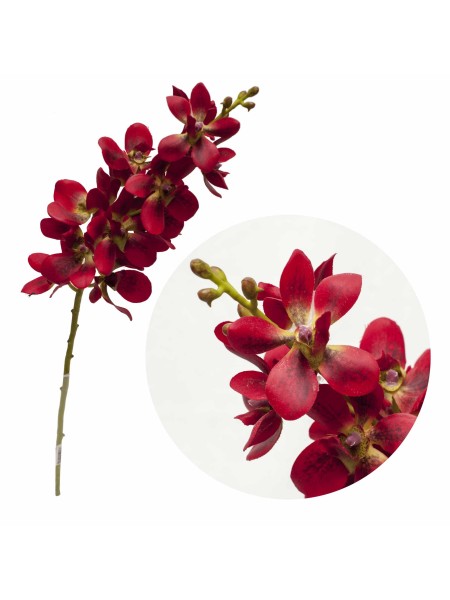 Орхидея Ренантоптис 60 см цвет красный
