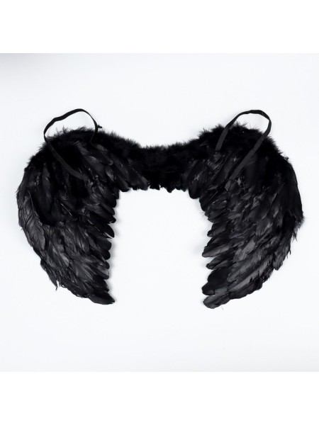 Крылья Ангела 65 х 40 см цвет черный