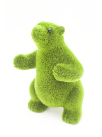 Медведь флок зеленый
