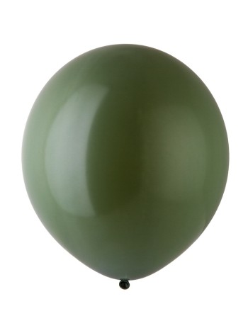 В 250/488 пастель Экстра Rosemary Green шар воздушный