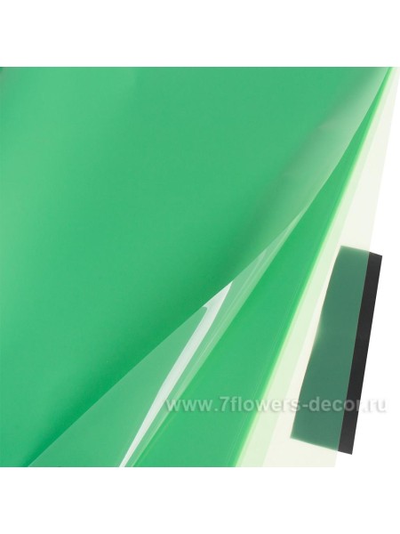 Пленка 58 х58 см 20 л цвет зеленый Sweet Illusion глянцевая 60 мкм Арт TMHC-02