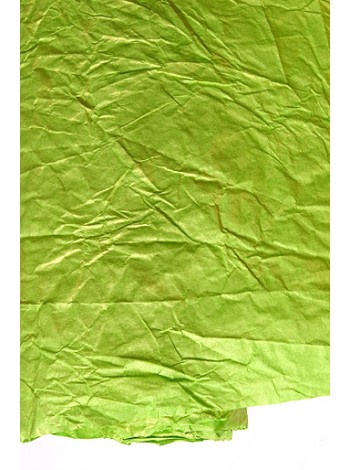 Бумага эколюкс 70 см х5 м 20/00-40 цвет салатовый с золотом