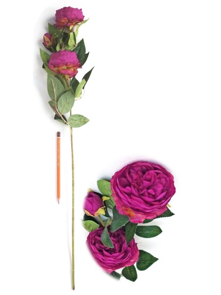 Роза пионовидная 3 бутона 71 см цвет фуксия HS-37-9
