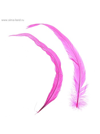 Набор перьев для декора 2 шт размер 1шт 30х3 см цвет Розовый