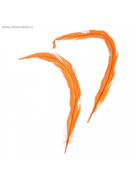 Набор перьев для декора 2 шт размер 1шт 30х3 см цвет Оранжевый