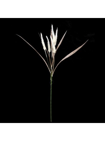 Камыш ветка 70 см цвет белый HS-11-5