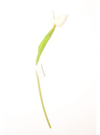 Тюльпан 33 см цвет микс 1/10