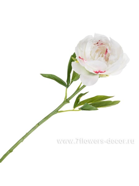 Пион 61 см цветок искусственный цвет белый Арт JS-7007-1