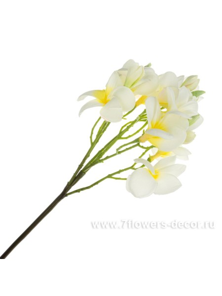Плюмерия 66 см цветок искусственный цвет белый-кремовый Арт 1161-PC-CR-185