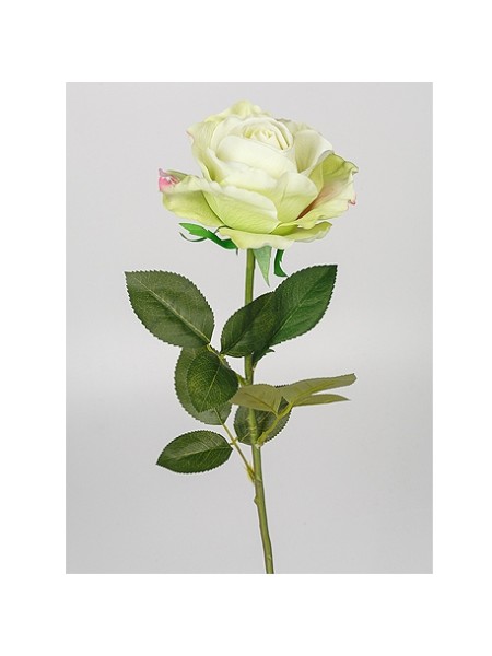 Роза Принц 70 см1 шт цв лайм