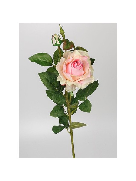 Роза Принц 75 см1 шт 2 бутона цв розовый