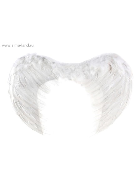 Крылья Ангела 55 х40 см цвет белый