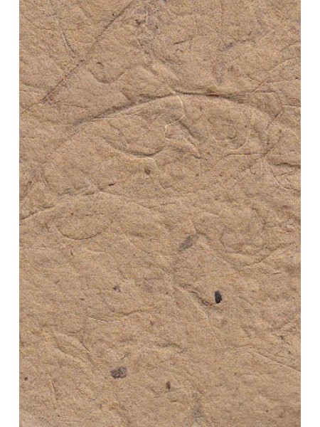 Бумага малбери 55 х79 см 103/60 цвет натуральный