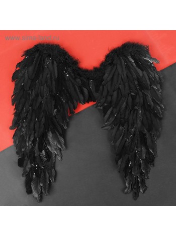 Крылья Ангела 60 х57 см цвет черный