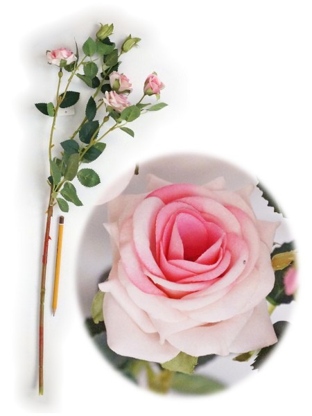 Роза кустовая 67 см цвет светло-розовый HS-31-9