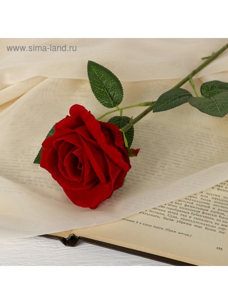 Роза боливийская 55 см d-8 см цвет красный