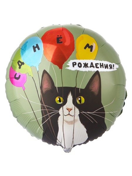 Фольга шар РУС ДР Кот и воздушные шары 18"/46 см