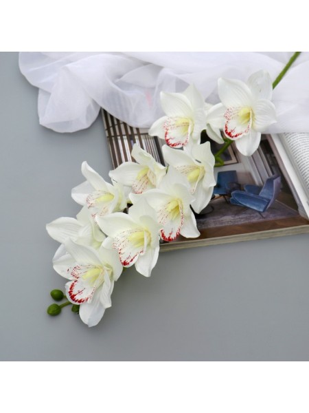 Орхидея амабилис 90 см цвет белый