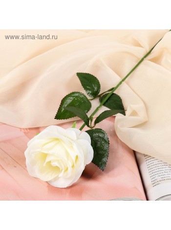 Роза Глория 60 см d-9 см цвет белый