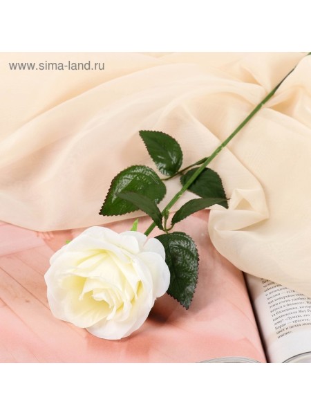 Роза Глория 60 см d-9 см цвет белый