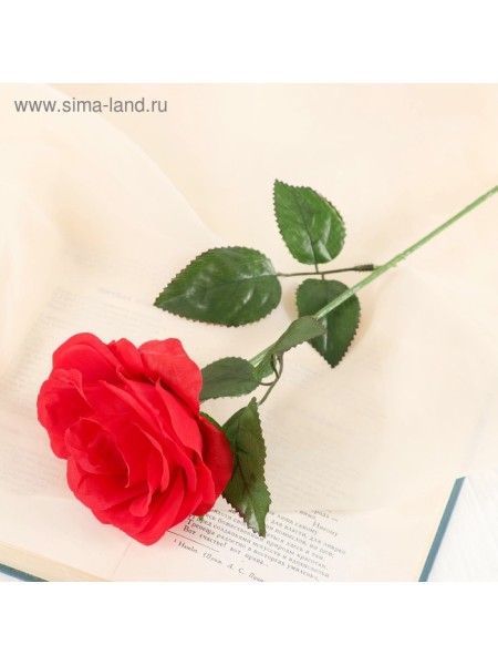 Роза Глория 60 см d-9 см цвет красный