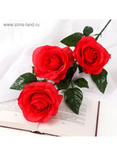 Роза Жанна 61 см d-10 см цвет красный