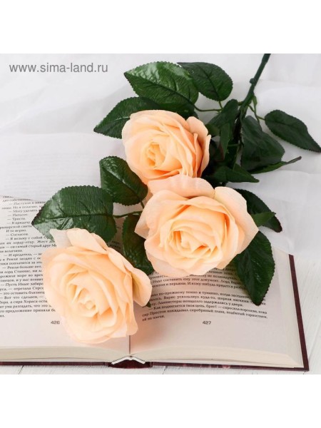 Роза Жанна 61 см d-10 см цвет кремовый