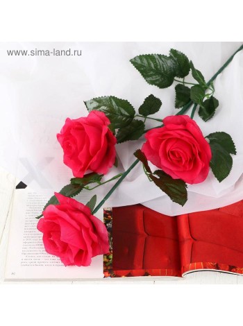 Роза Жанна 61 см d-10 см цвет малиновый