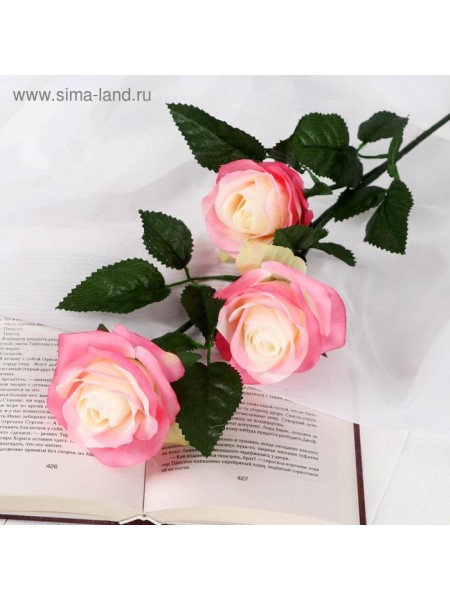 Роза Жанна 61 см d-10 см цвет бело-розовый