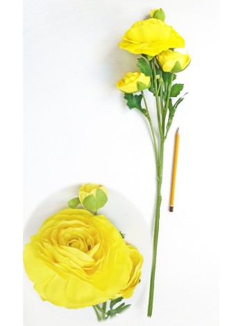 Лютик ( ранункулюс) 3 цветка 64 см цвет желтый