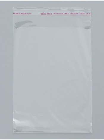 Пакет прозрачный 11 х16/3 см со скотчем полипропилен