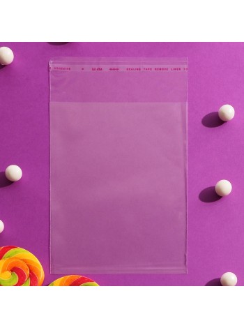 Пакет прозрачный 12 х16/4 см со скотчем полипропилен