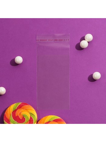 Пакет прозрачный 6 х10/4 см со скотчем полипропилен