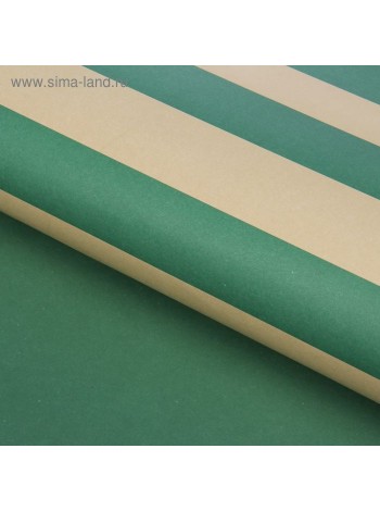 Бумага крафт 60 х60 см двухсторонняя Полосы цвет зеленый