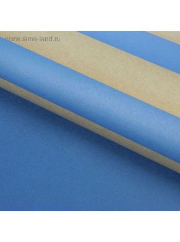 Бумага крафт 60 х60 см двухсторонняя Полосы цвет синий