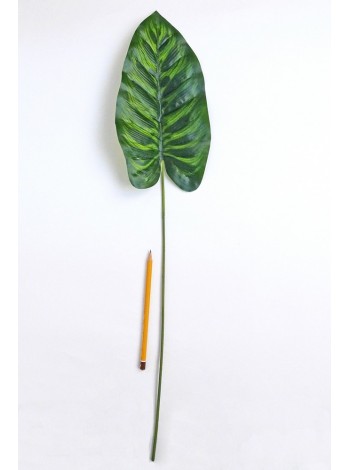 Лист Калатеи 70 см за 1 шт цвет зеленый HS-20-7