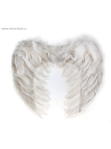 Крылья Ангела 29 х34 см цвет белый