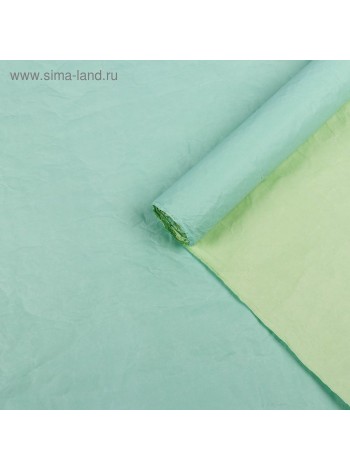 Бумага эколюкс 70 см х5 м двухцветная цвет морская волна/салатовая пастель