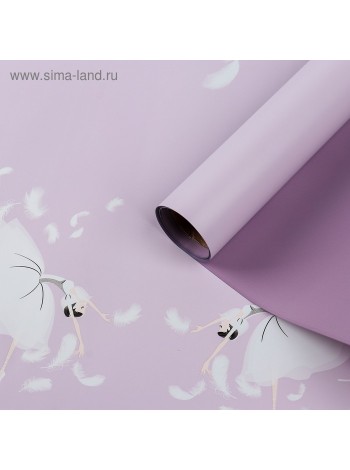 Пленка 58 х5 м цвет лаванда/фиолетовый Балерина