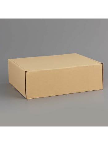 Коробка складная 27 х21 х9 см Бежевая для подарков/хранения и отправки посылок