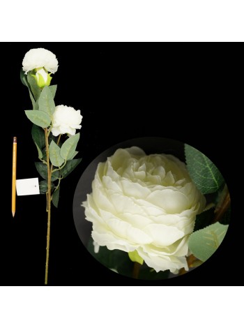 Роза пионовидная 3 бутона 71 см цвет белый HS-37-9