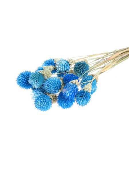 Гомфрена шаровидная сухоцветы набор 20 шт цвет голубой