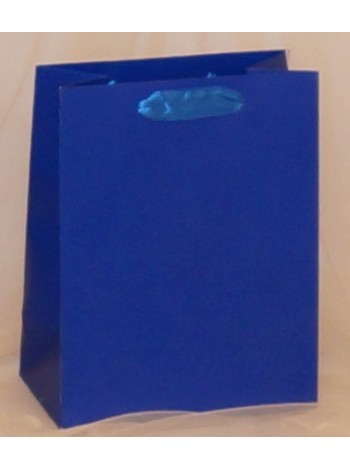 Пакет ламинированный 18 х23 х10 см однотонный цвет микс